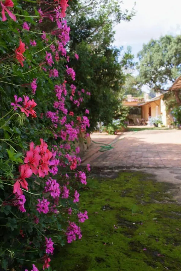 B&B Le Corti Di Aloa Italien